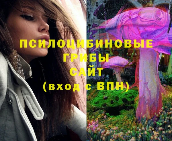 твердый Алзамай