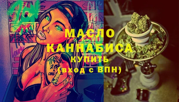 дмт Нягань