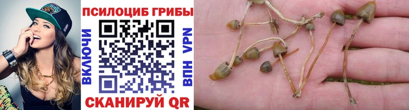 Галлюциногенные грибы Cubensis Пермь