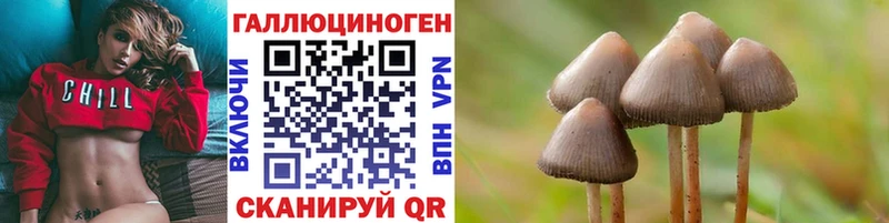 Галлюциногенные грибы Cubensis  Пермь 